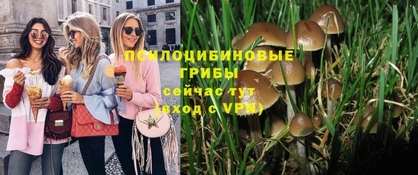 винт Абинск