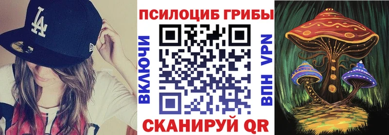 наркота  Балаково  Галлюциногенные грибы Magic Shrooms 